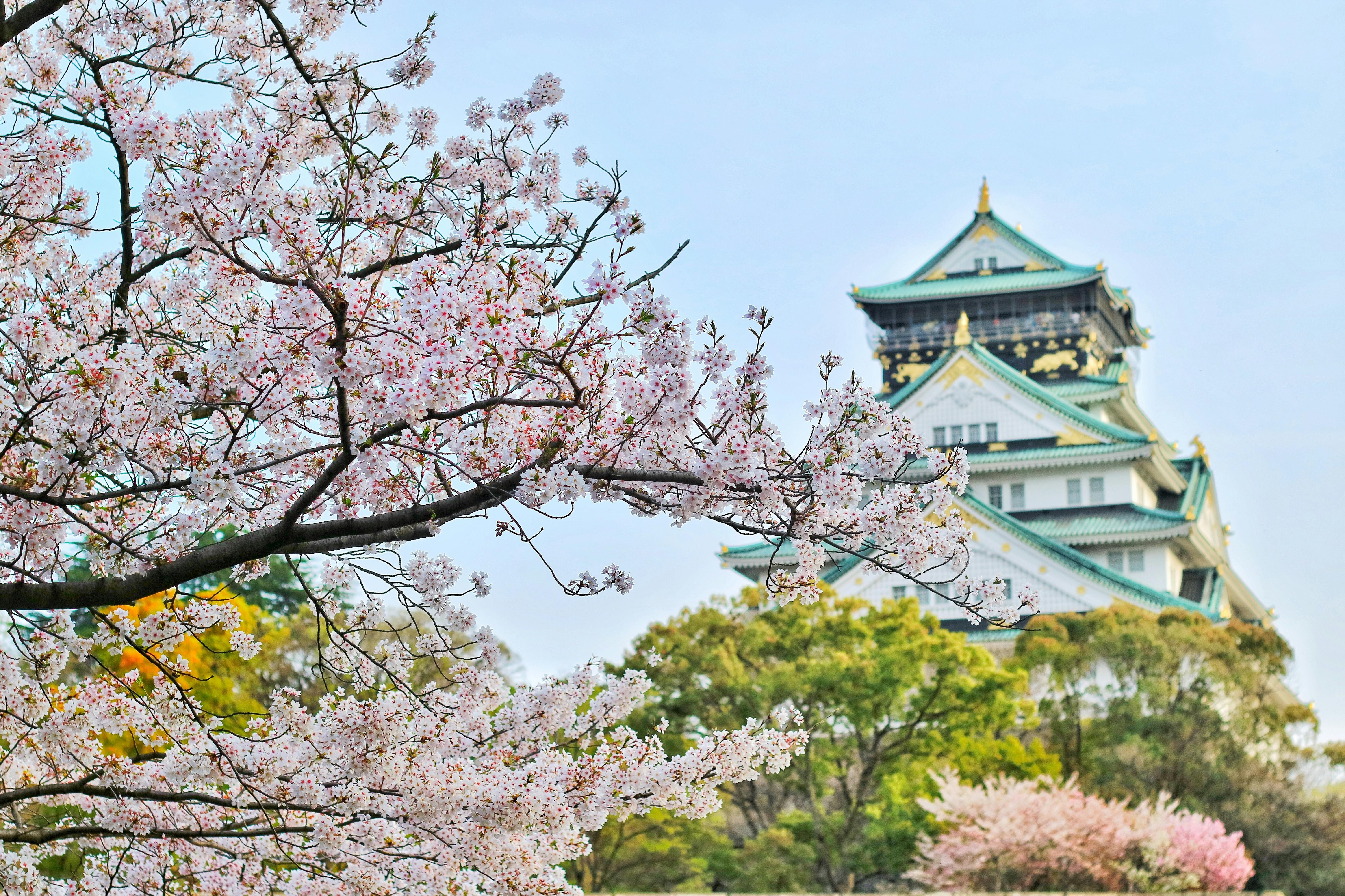 Osaka Thumbnail 4