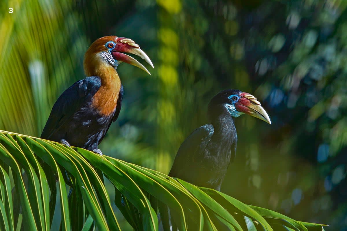 Port Blair Thumbnail 2
